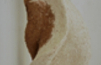 untiteld